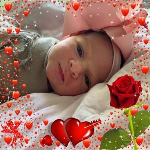 Meet your Posher, Bob vicky